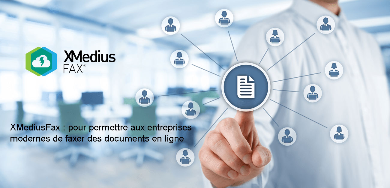 SERVEUR DE FAX IP SEIREB SOLUTIONS TOULOUSE